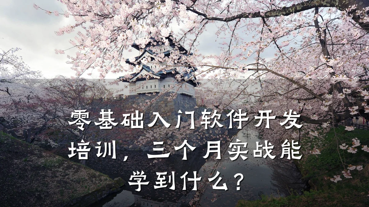 零基础入门软件开发培训,三个月实战能学到什么?