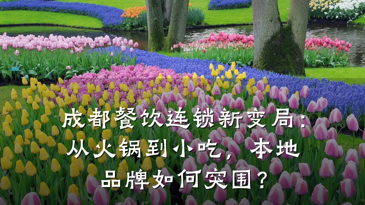 成都餐饮连锁新变局:从火锅到小吃,本地品牌如何突围?