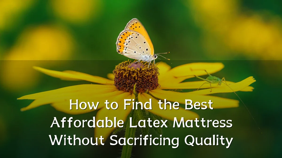 How to Find the Best Affordable Latex Mattress Without Sacrificing Quality