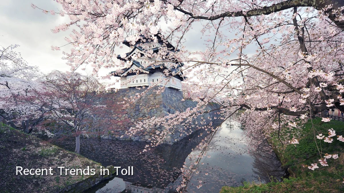 Recent Trends in Toll