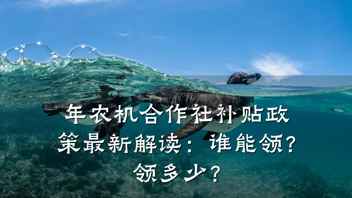 年农机合作社补贴政策最新解读:谁能领?领多少?