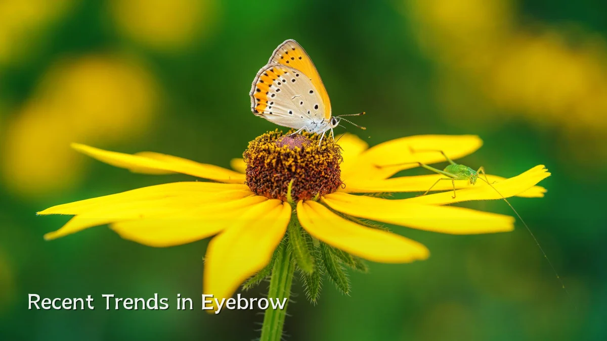 Recent Trends in Eyebrow
