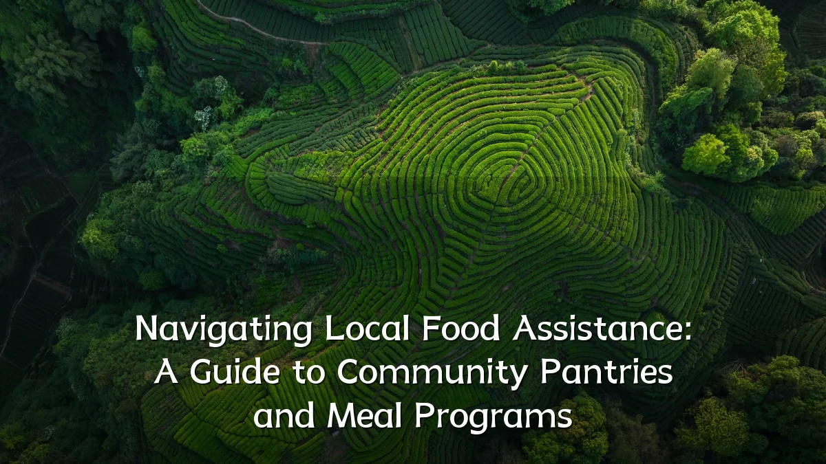 Navigating Local Food Assistance: A Guide to Community Pantries and Meal Programs