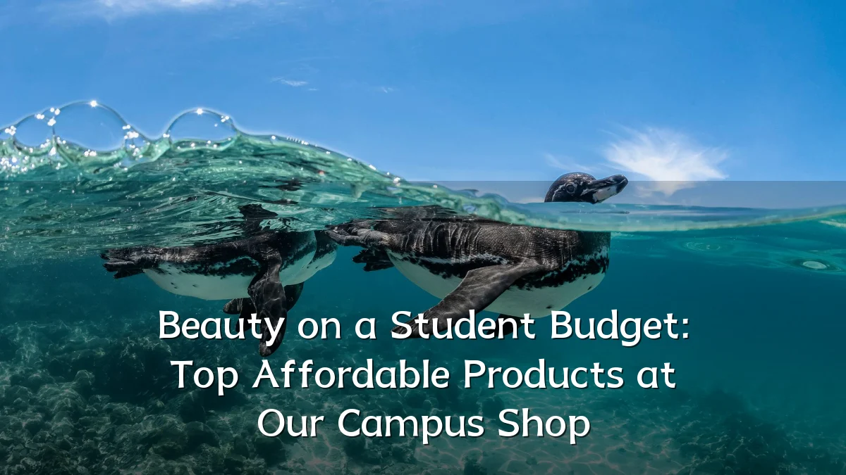Beauty on a Student Budget: Top Affordable Products at Our Campus Shop