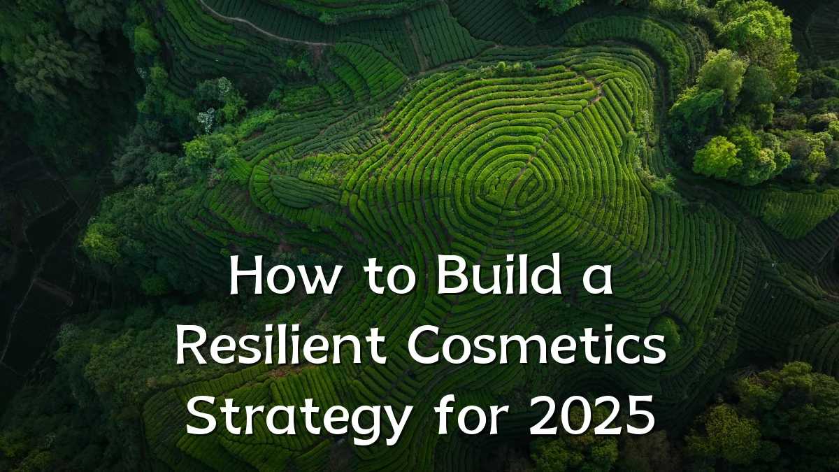 How to Build a Resilient Cosmetics Strategy for 2025