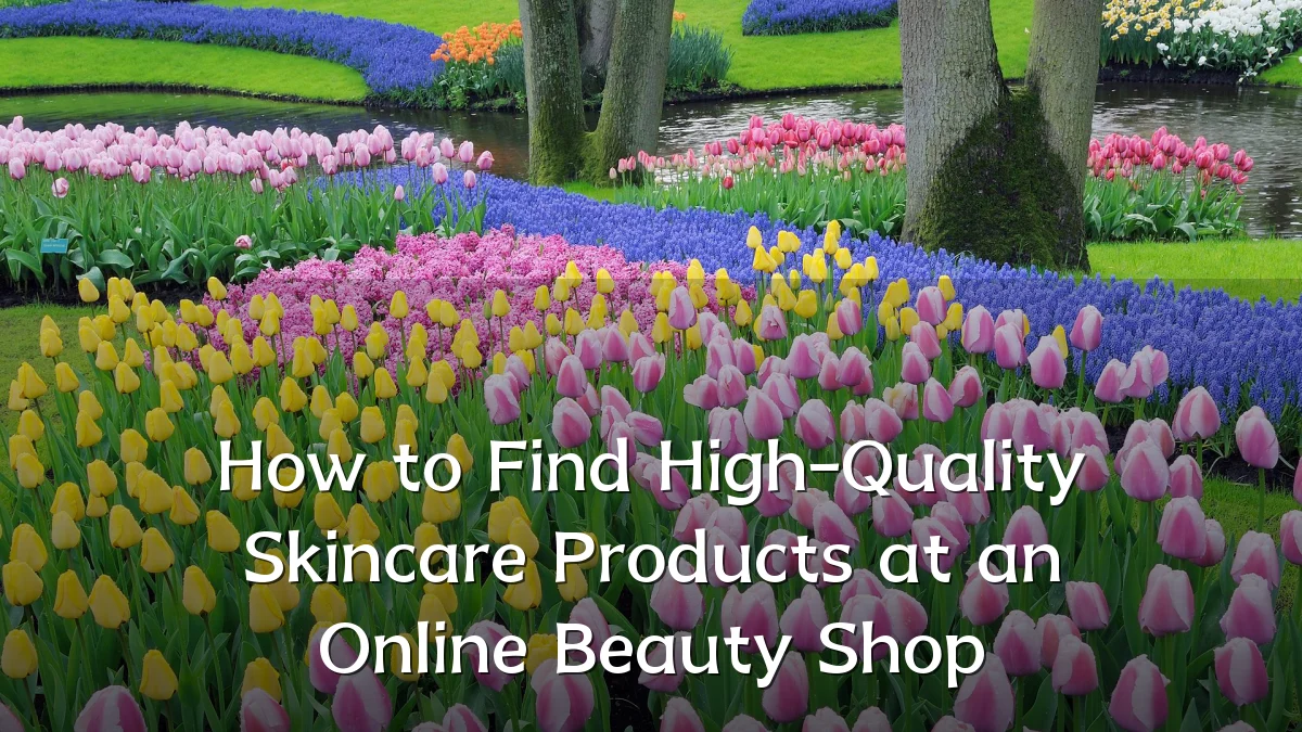 How to Find High-Quality Skincare Products at an Online Beauty Shop