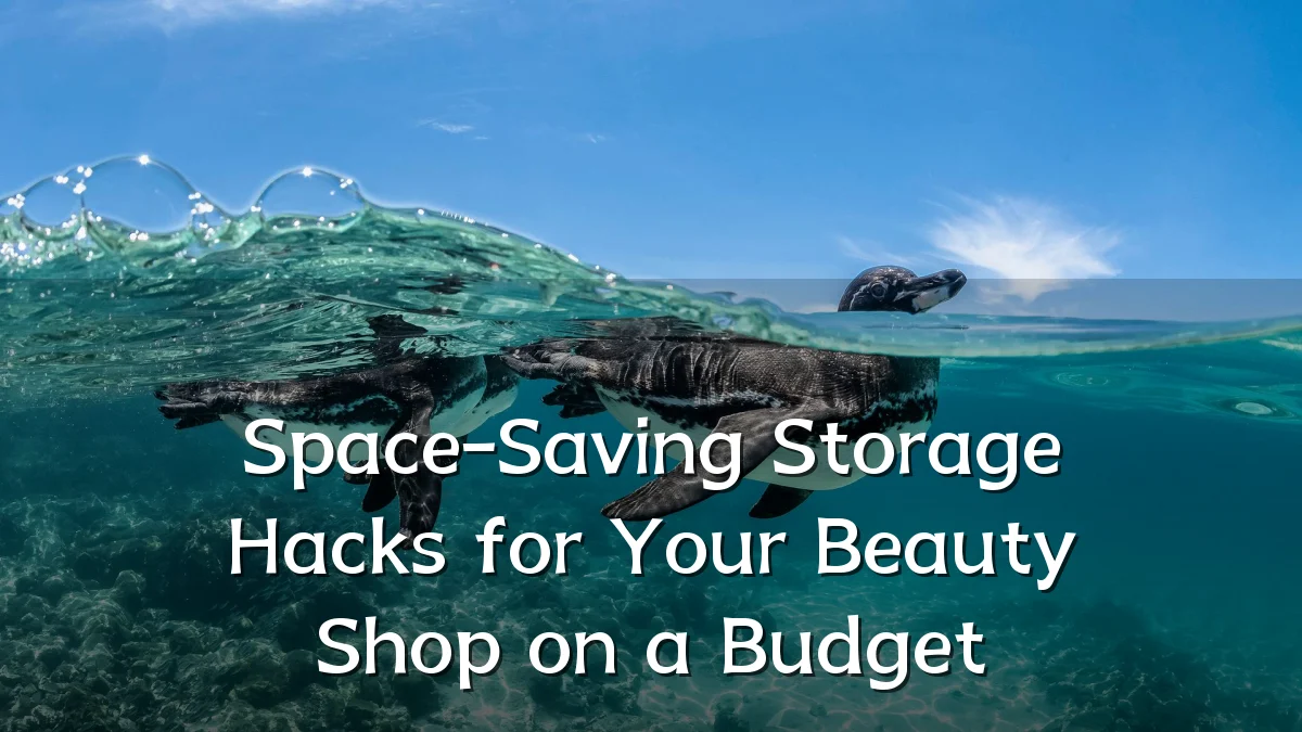 Space-Saving Storage Hacks for Your Beauty Shop on a Budget