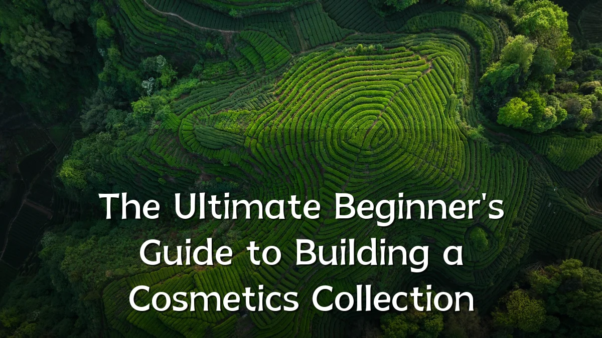 The Ultimate Beginner's Guide to Building a Cosmetics Collection