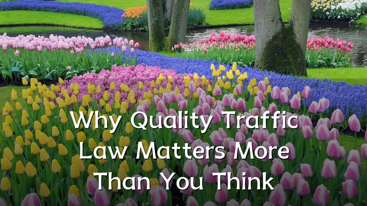 Why Quality Traffic Law Matters More Than You Think