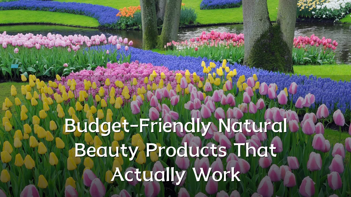 Budget-Friendly Natural Beauty Products That Actually Work