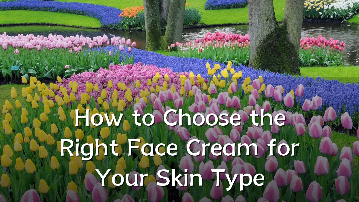 How to Choose the Right Face Cream for Your Skin Type