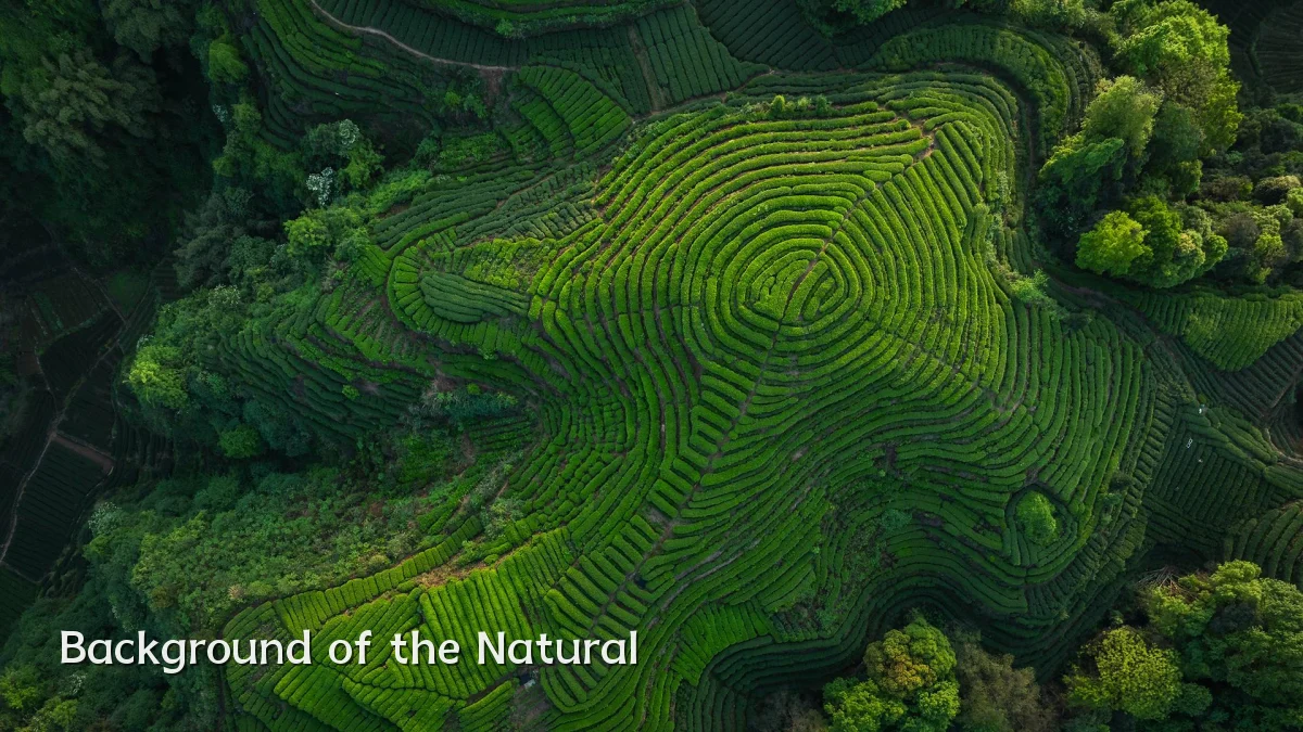 Background of the Natural