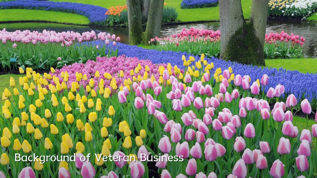 Background of Veteran Business