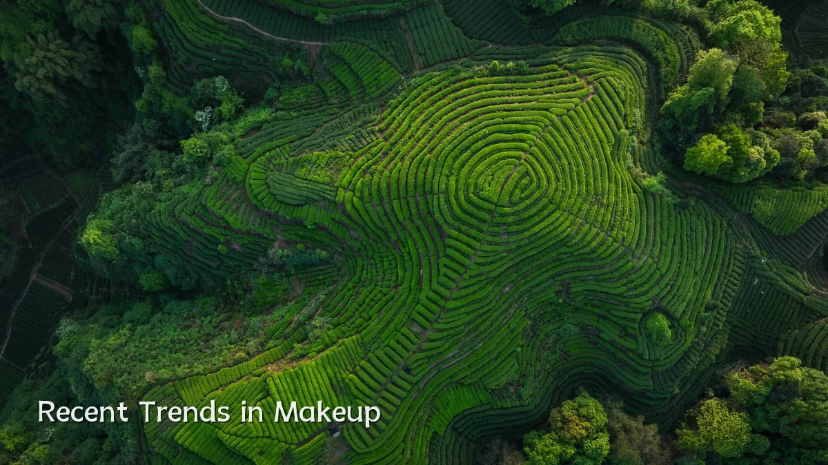 Recent Trends in Makeup