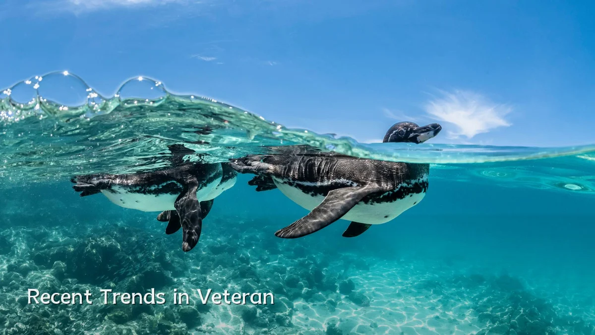 Recent Trends in Veteran