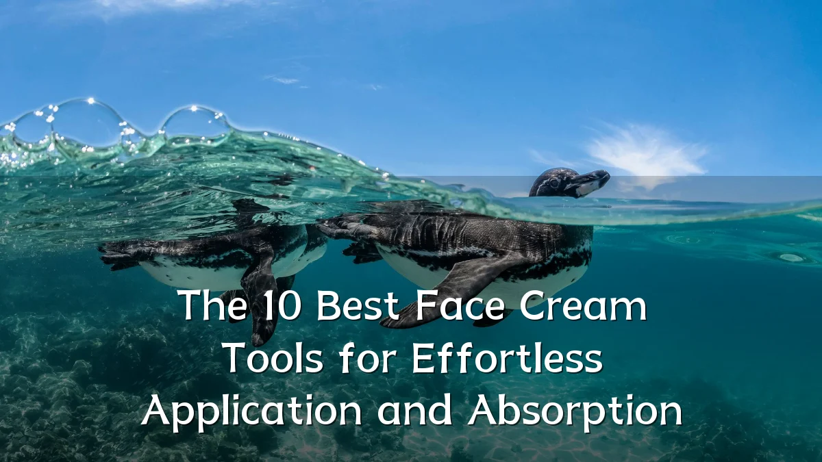 The 10 Best Face Cream Tools for Effortless Application and Absorption