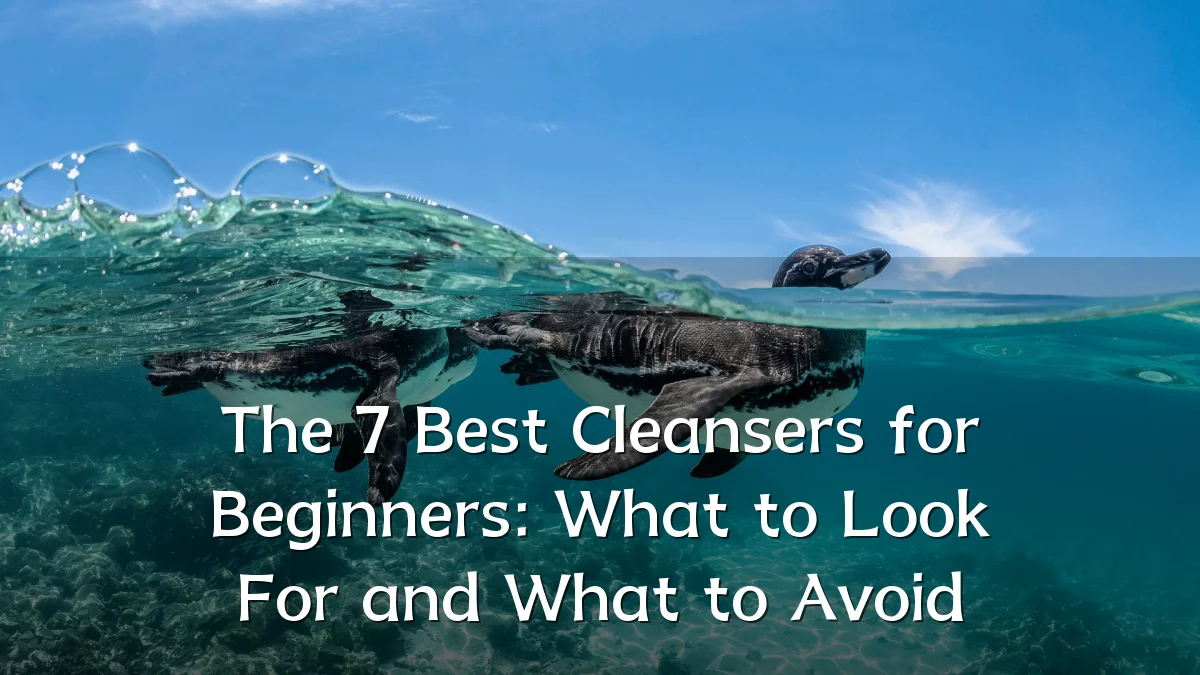 The 7 Best Cleansers for Beginners: What to Look For and What to Avoid