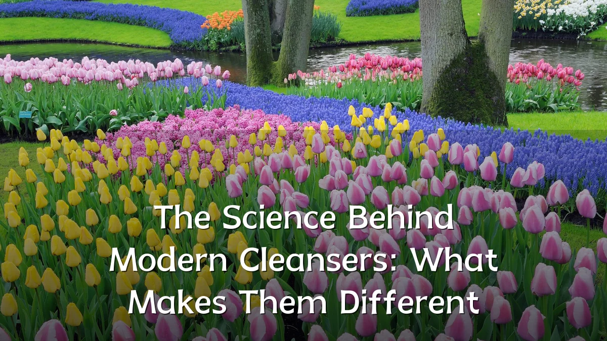 The Science Behind Modern Cleansers: What Makes Them Different