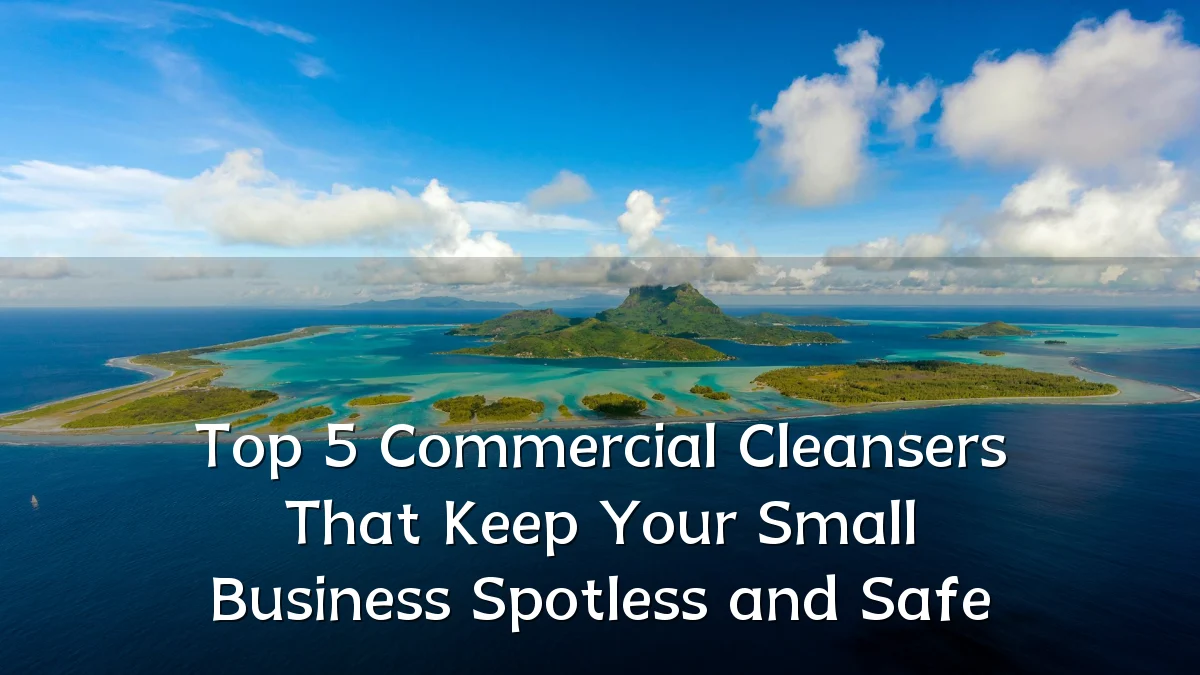 Top 5 Commercial Cleansers That Keep Your Small Business Spotless and Safe