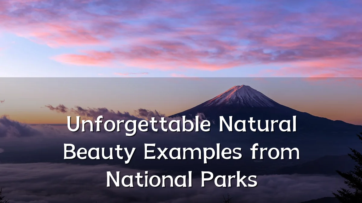 Unforgettable Natural Beauty Examples from National Parks