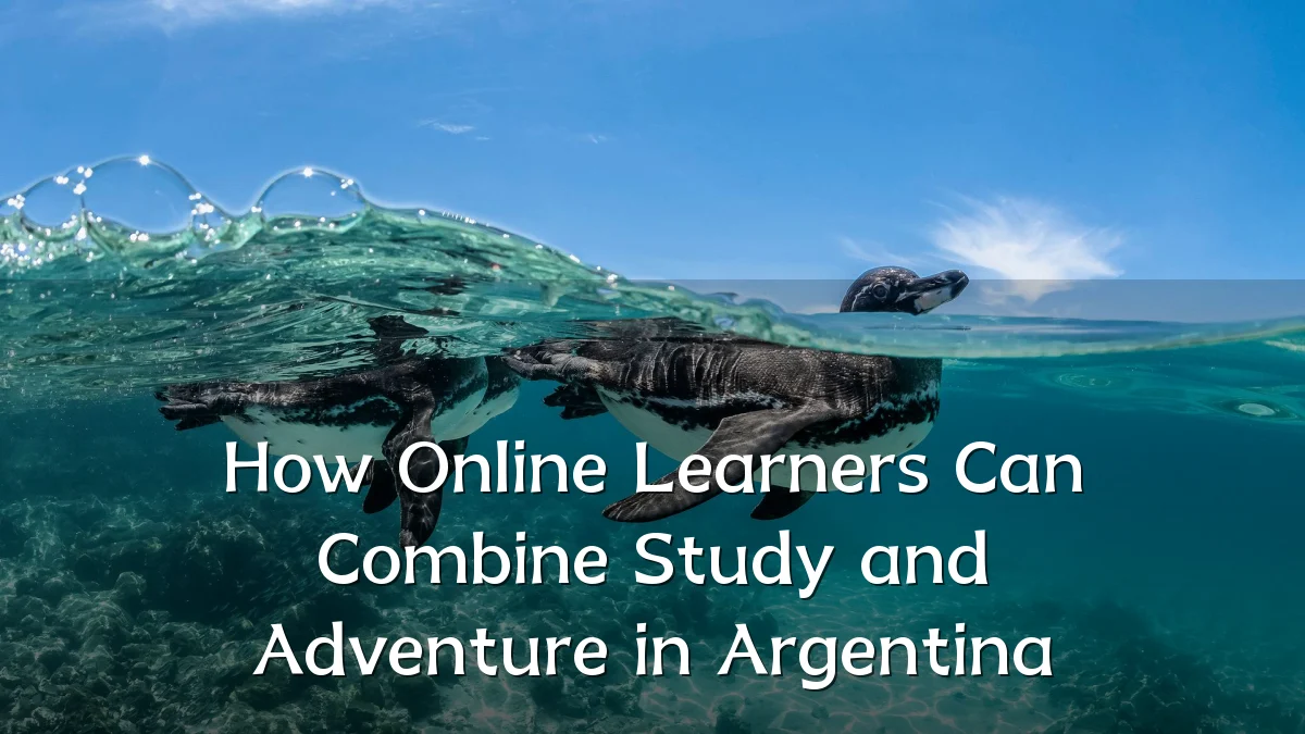 How Online Learners Can Combine Study and Adventure in Argentina