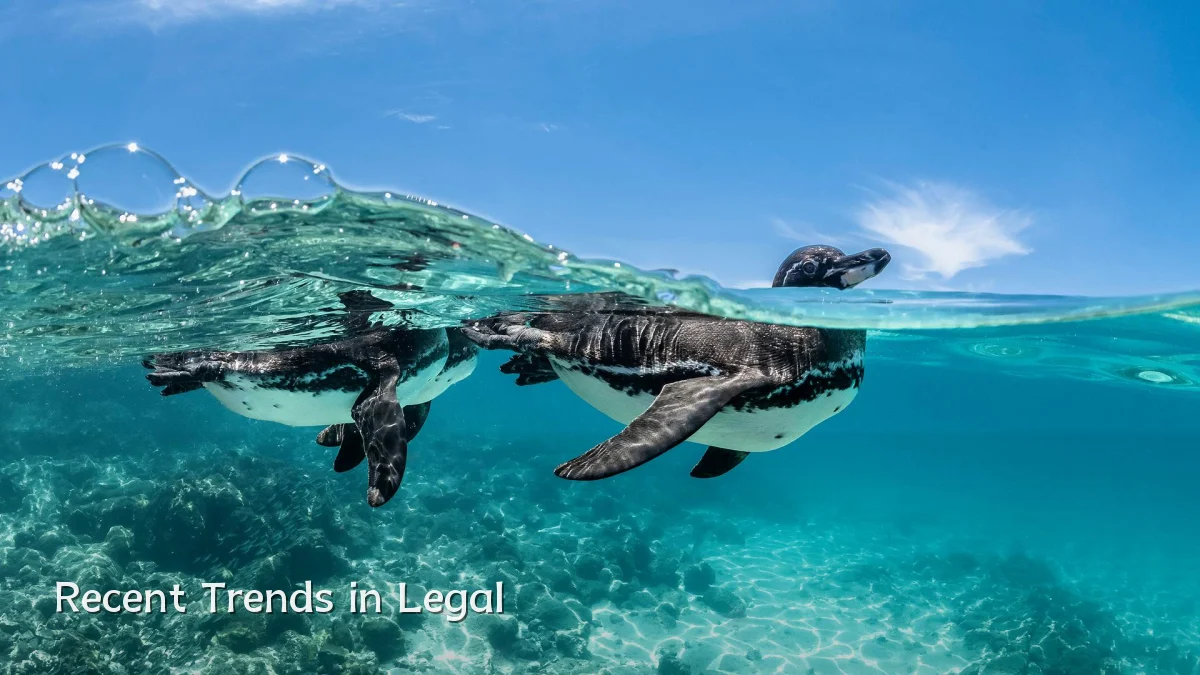 Recent Trends in Legal