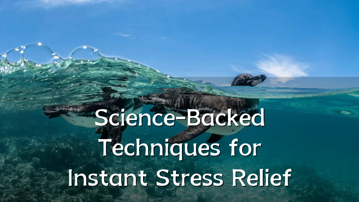 Science-Backed Techniques for Instant Stress Relief