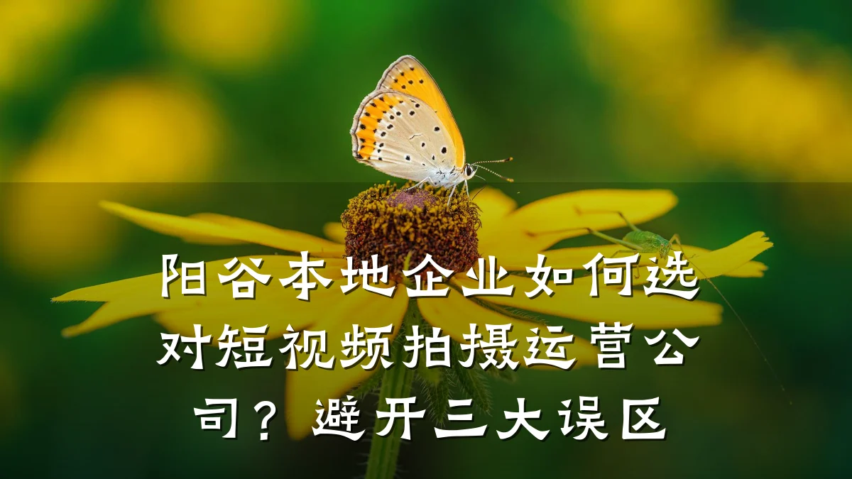 阳谷本地企业如何选对短视频拍摄运营公司?避开三大误区