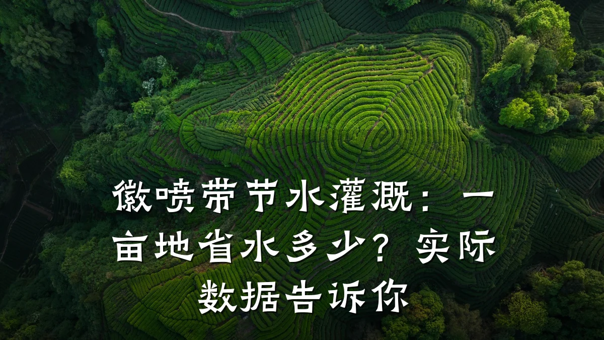徽喷带节水灌溉:一亩地省水多少?实际数据告诉你