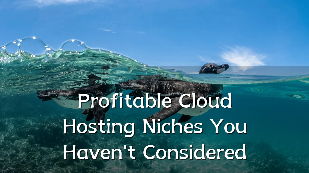 Profitable Cloud Hosting Niches You Haven't Considered