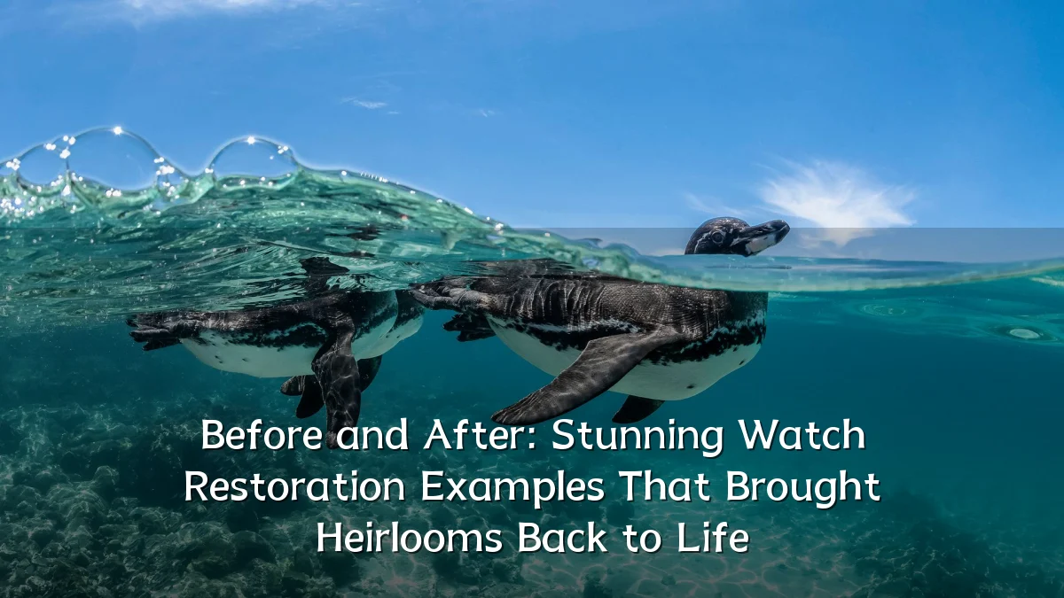 Before and After: Stunning Watch Restoration Examples That Brought Heirlooms Back to Life