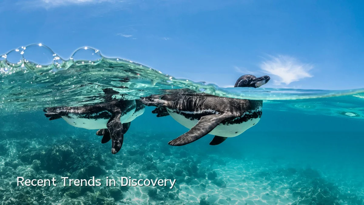 Recent Trends in Discovery